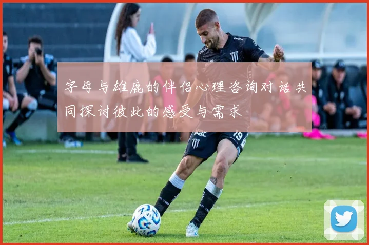 字母与雄鹿的伴侣心理咨询对话共同探讨彼此的感受与需求