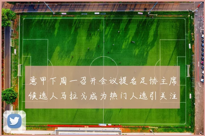 意甲下周一召开会议提名足协主席候选人马拉戈成为热门人选引关注